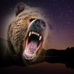 Meet your Posher, Dennis